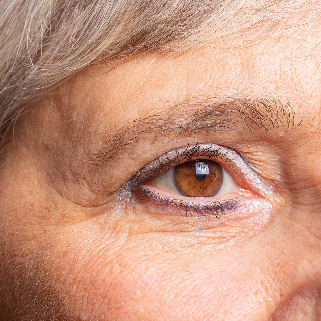 WRINKLE-REDUCER BUNDLE