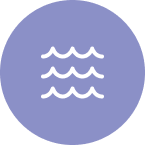 Hydrolyzed for Better Absorption